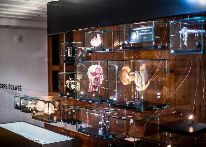 Monastere Des Augustines Hotel Québec